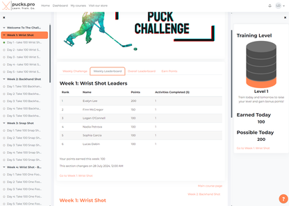 Your Custom Challenge Program